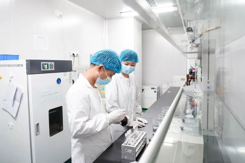 專注醫療科技前沿，廈門海滄這家企業如何深耕微創耗材與網絡信息技術研發