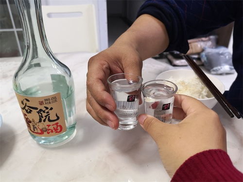 冬來天欲雪，能飲一杯無——谷小酒谷院燒酒無酒精即飲型測評